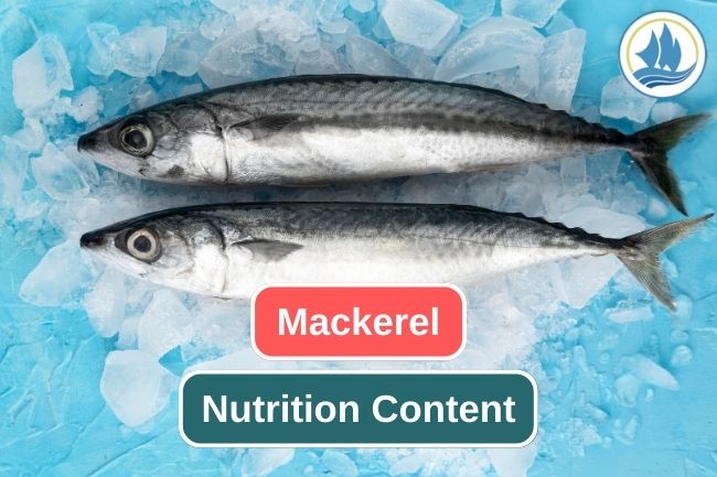 9 Essential Nutrition Content in Mackerel 